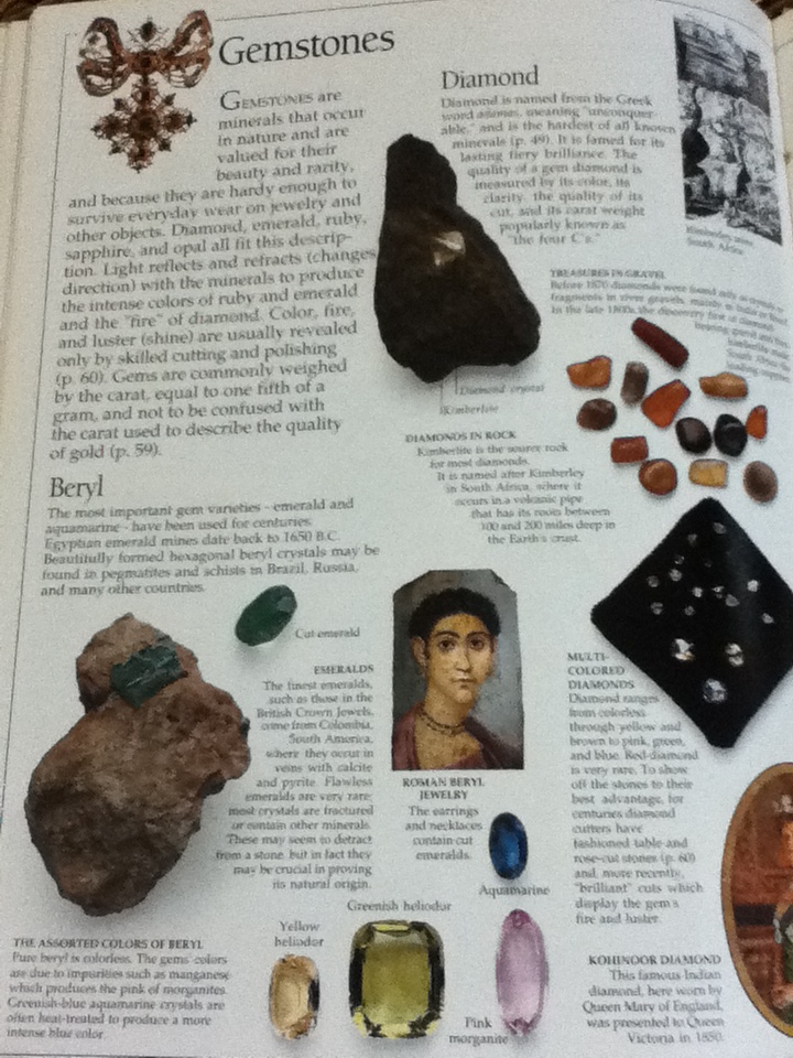 ROCKS & MINERALS (ปกแข็ง)