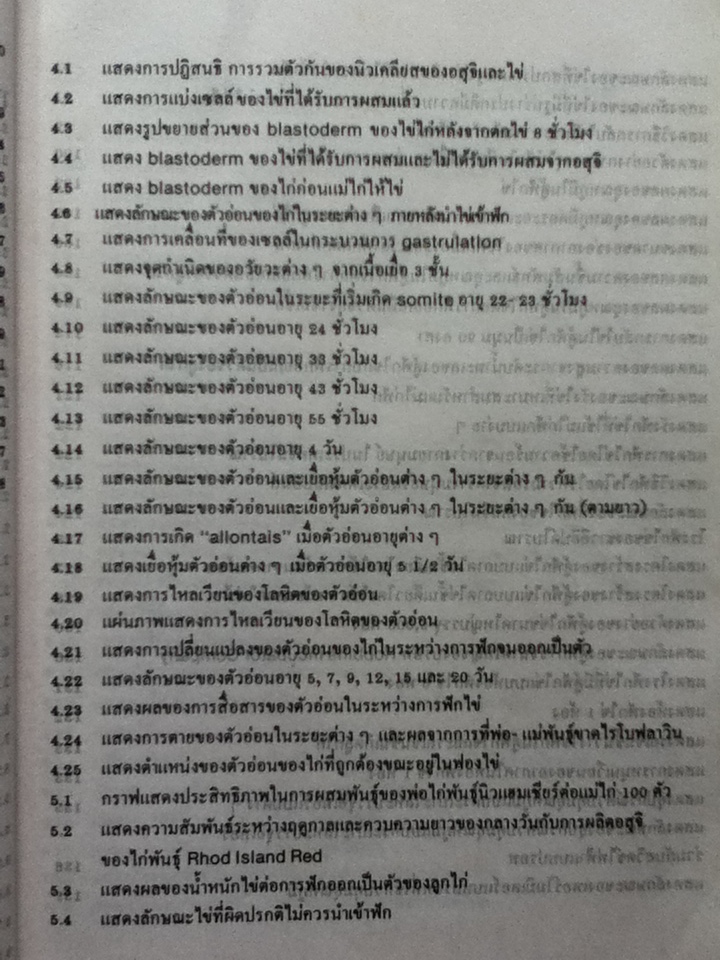 ไข่และการฟักไข่