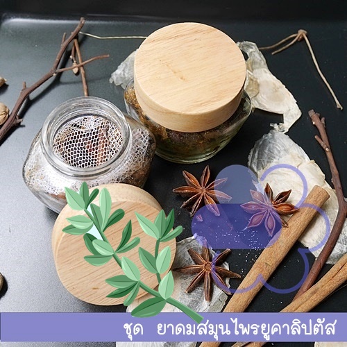 ชุด ยาดมสมุนไพรยูคาลิปตัส สูตรดั้งเดิม รวมสมุนไพรแห้ง ที่มีกลิ่นหอม ผสมผสานการบูร เมนทอล พิมเสน เพิ่มความหอม เย็น สดชื่น ไม่มีบรรจุภัณฑ์