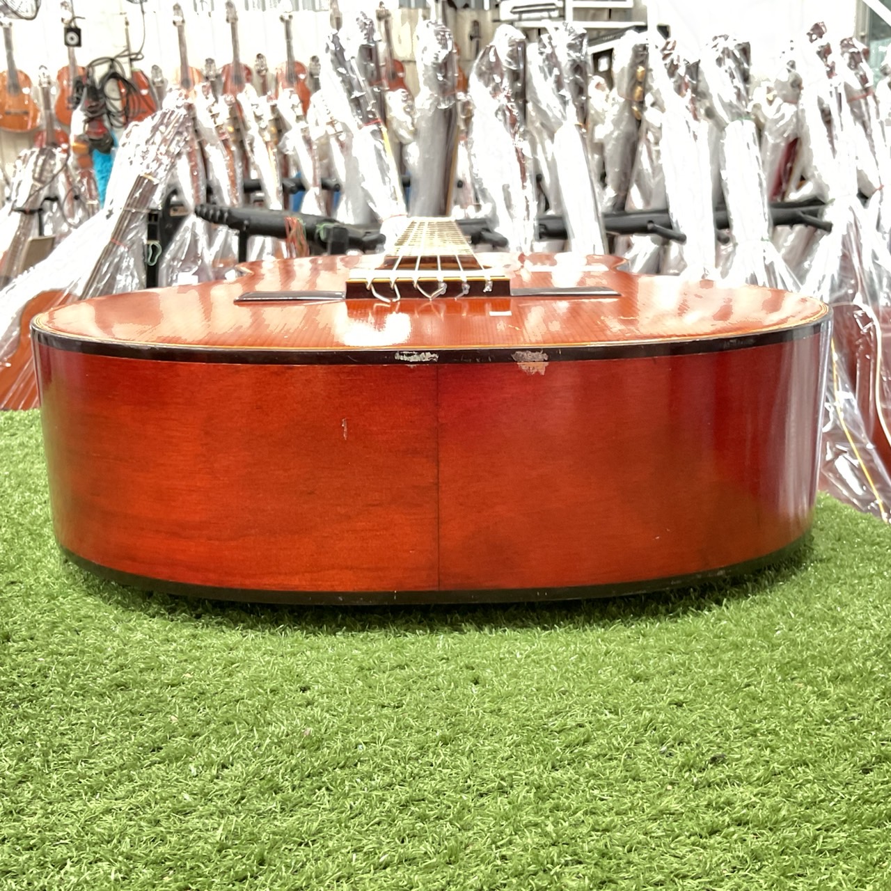 กีต้าร์คลาสสิค Abe Gut : No.510