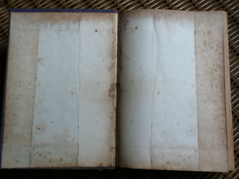 สาบควาย/ พ.ต.ท.ลิขิต วัฒนปกรณ์