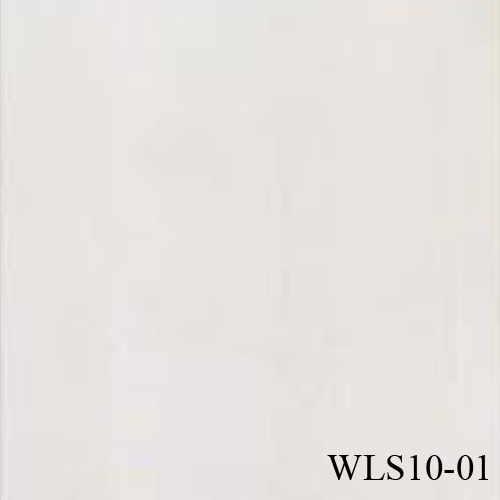 WLS10
