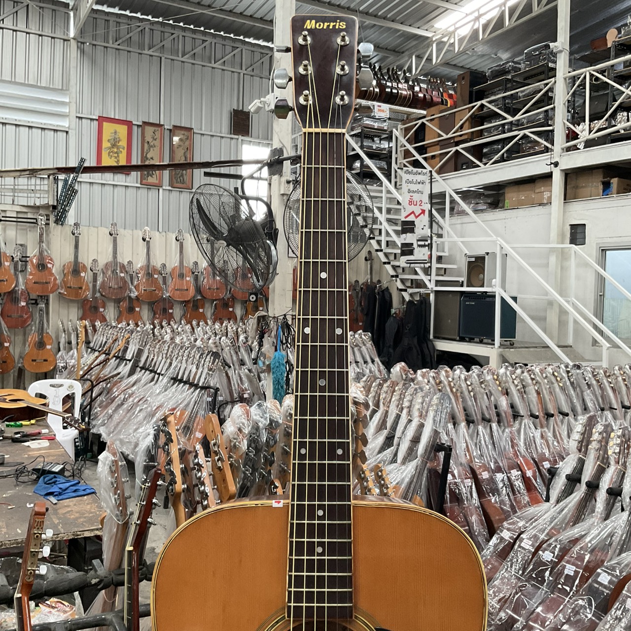 กีต้าร์โปร่ง Morris : W-25