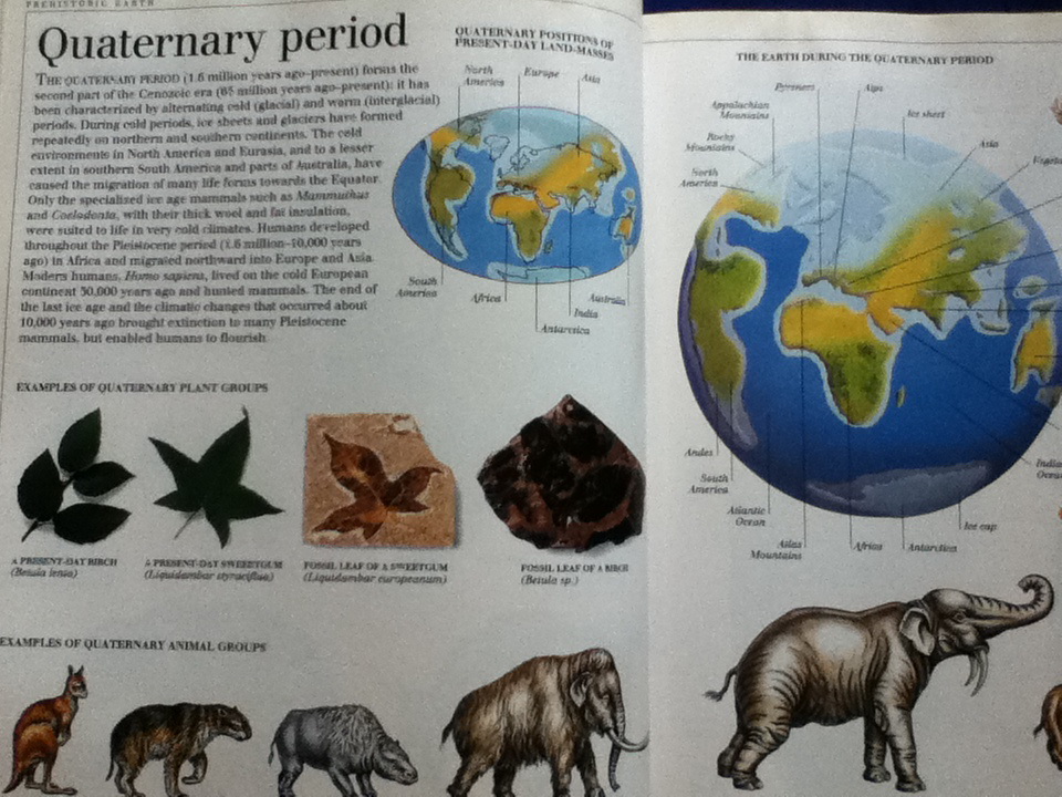 ULTIMATE VISUAL DICTIONARY