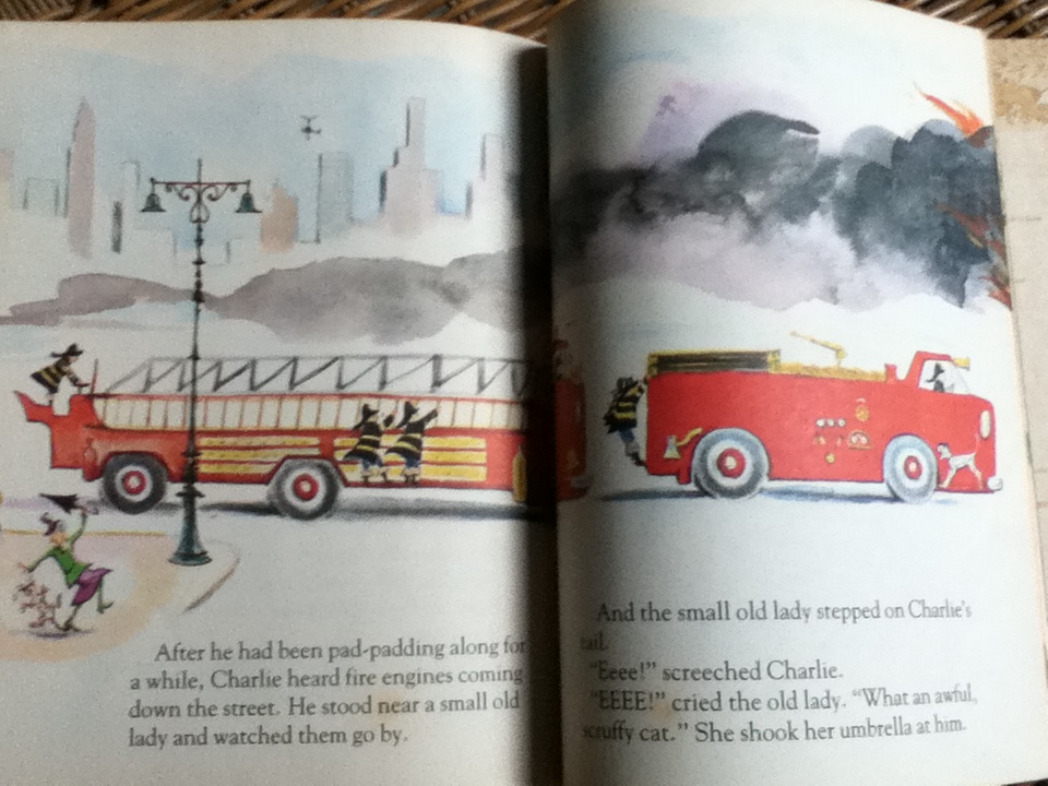 Charlie/ DIANE FOX DOWNS