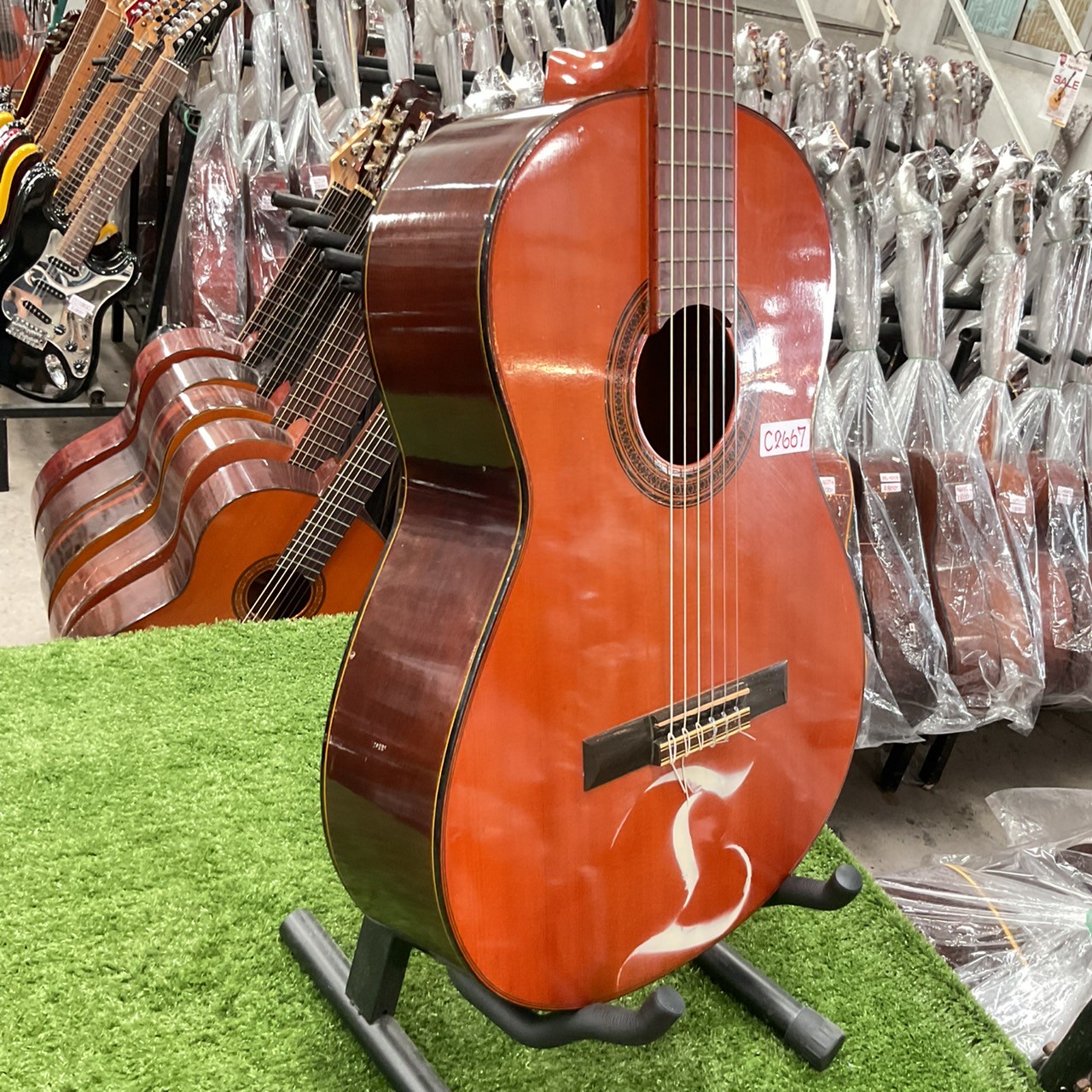 กีต้าร์คลาสสิค YAMAHA : G-70D