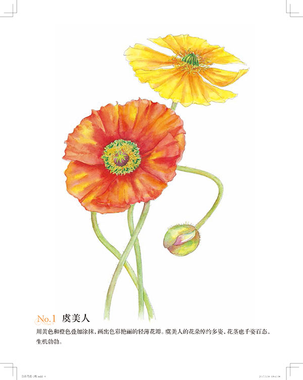 (Pre-order) หนังสือระบายสีภาพดอกไม้ของ SATOKO NIWA