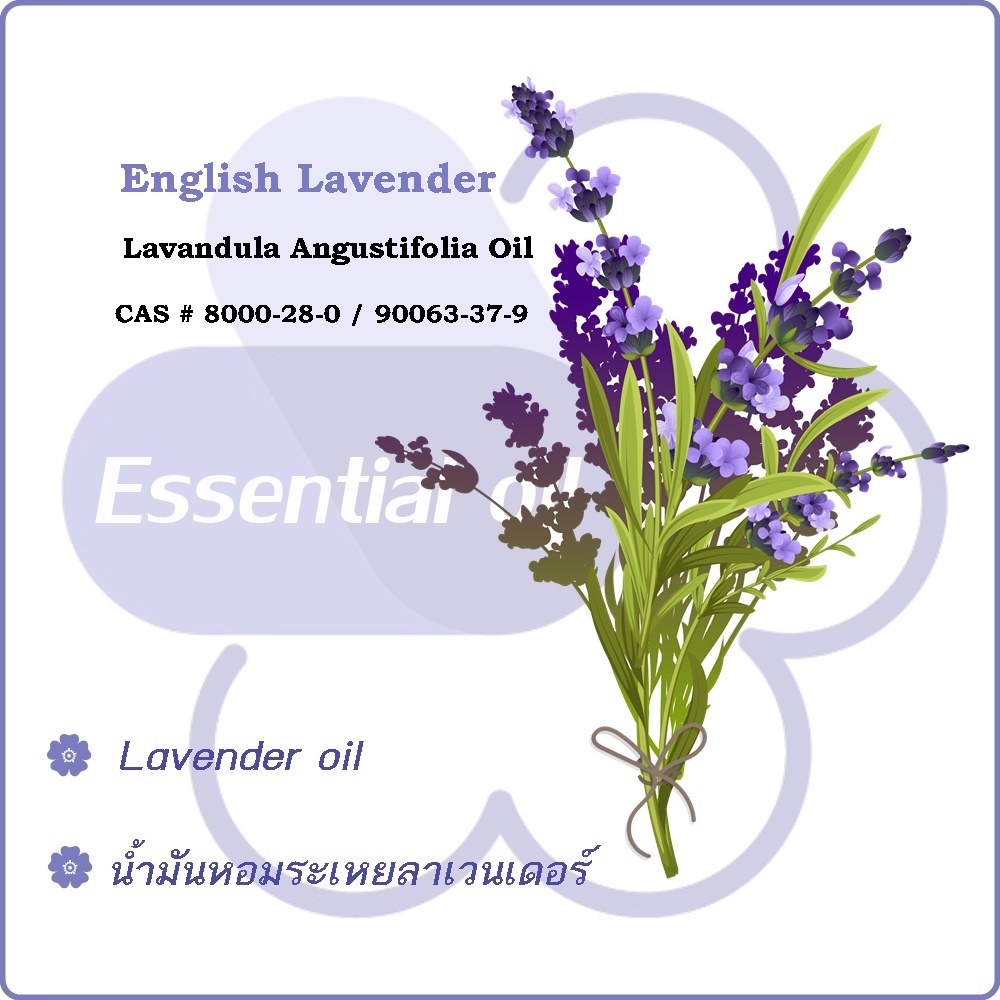 Lavender :Lavender essential oil ,English Lavender oil น้ำมันหอมระเหยลาเวนเดอร์ linalyl acetate and linalool >80% Fresh Floral Aroma ละลายในแอกอฮอล์และน้ำมัน- ไม่เร่งเทรซ COA