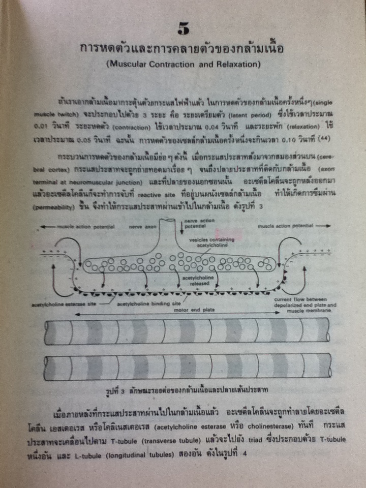 สรีรวิทยาการออกกำลังกาย/ ดร.อนันต์ อัตชู