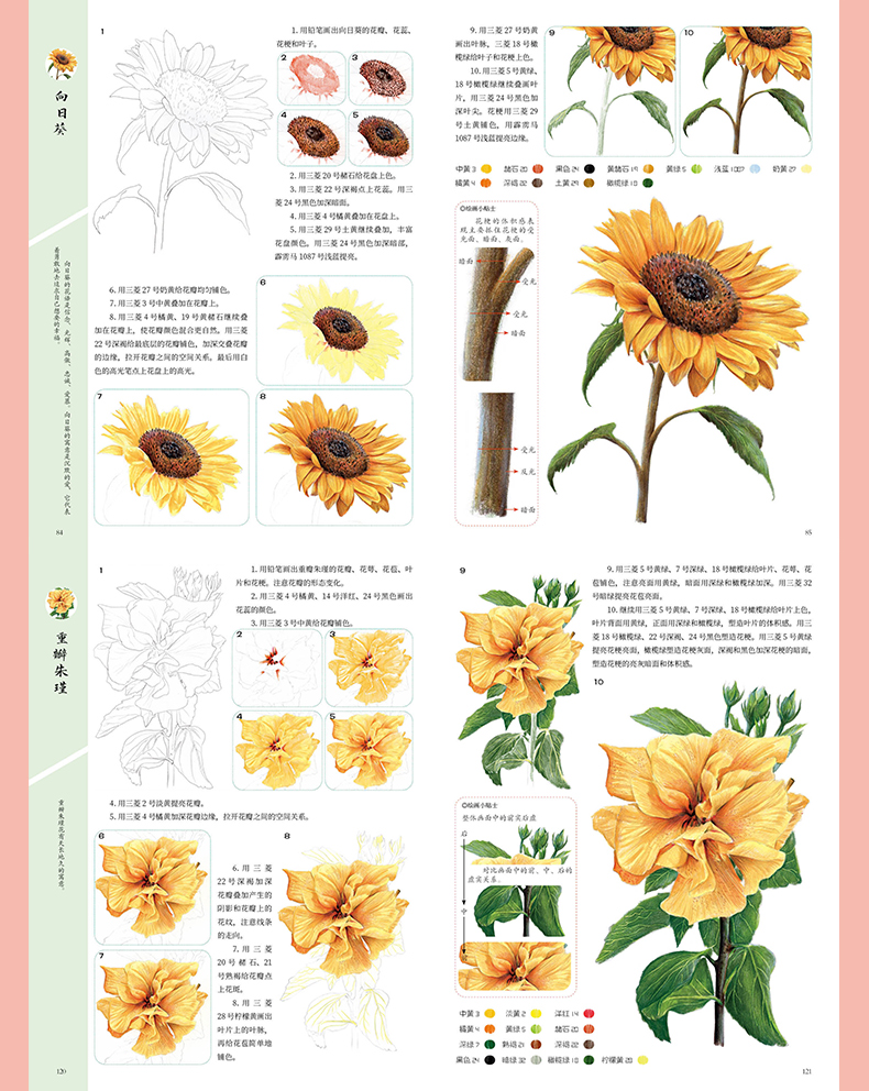 (Pre-order) หนังสือระบายสีไม้ภาพดอกไม้ฉบับพื้นฐาน