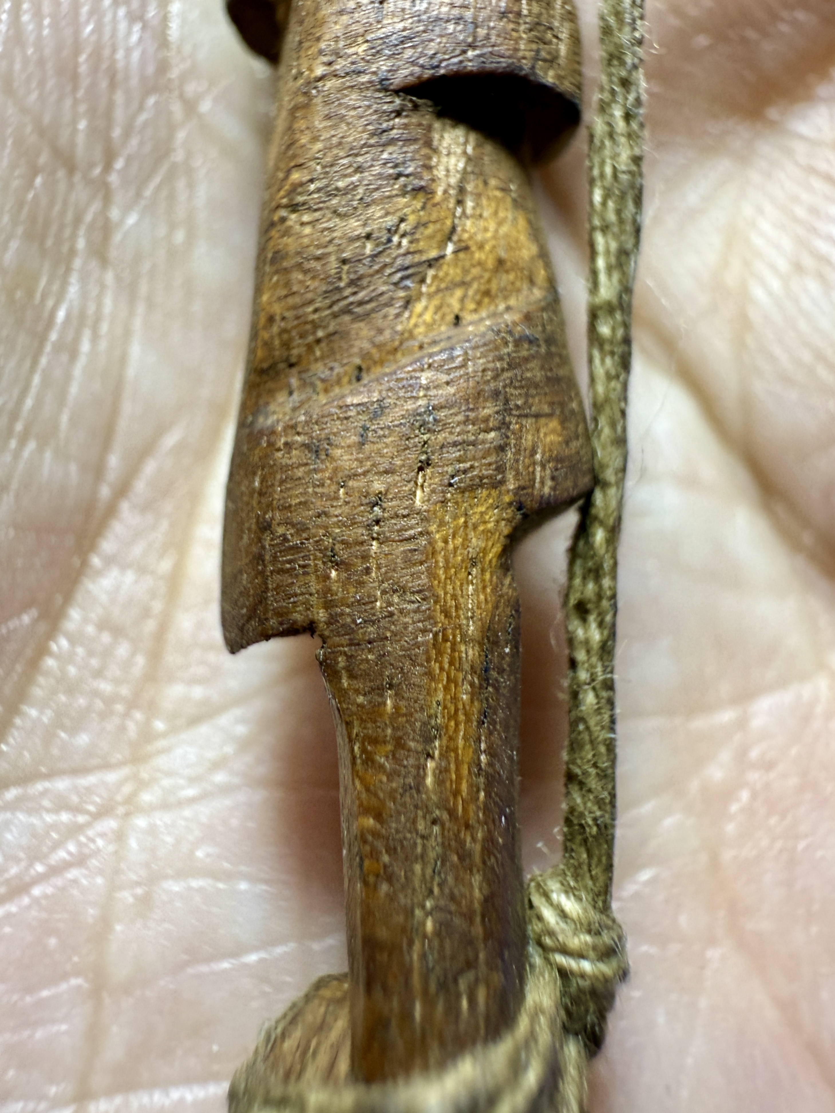 อิ้นไม้วัวลืมคอก Cow-Forget-Pen Inn-Kuu. SKU-03994