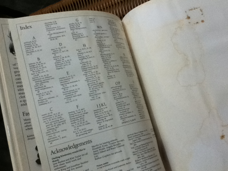 EYEWITNESS GUIDES 9 เล่ม