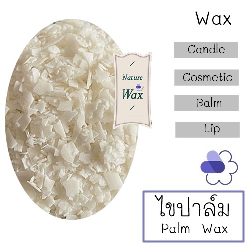 Wax : Nature-Plamwax58/Hydrogenated RBD Palm Stearin ไขปาล์มธรรมชาติ COA