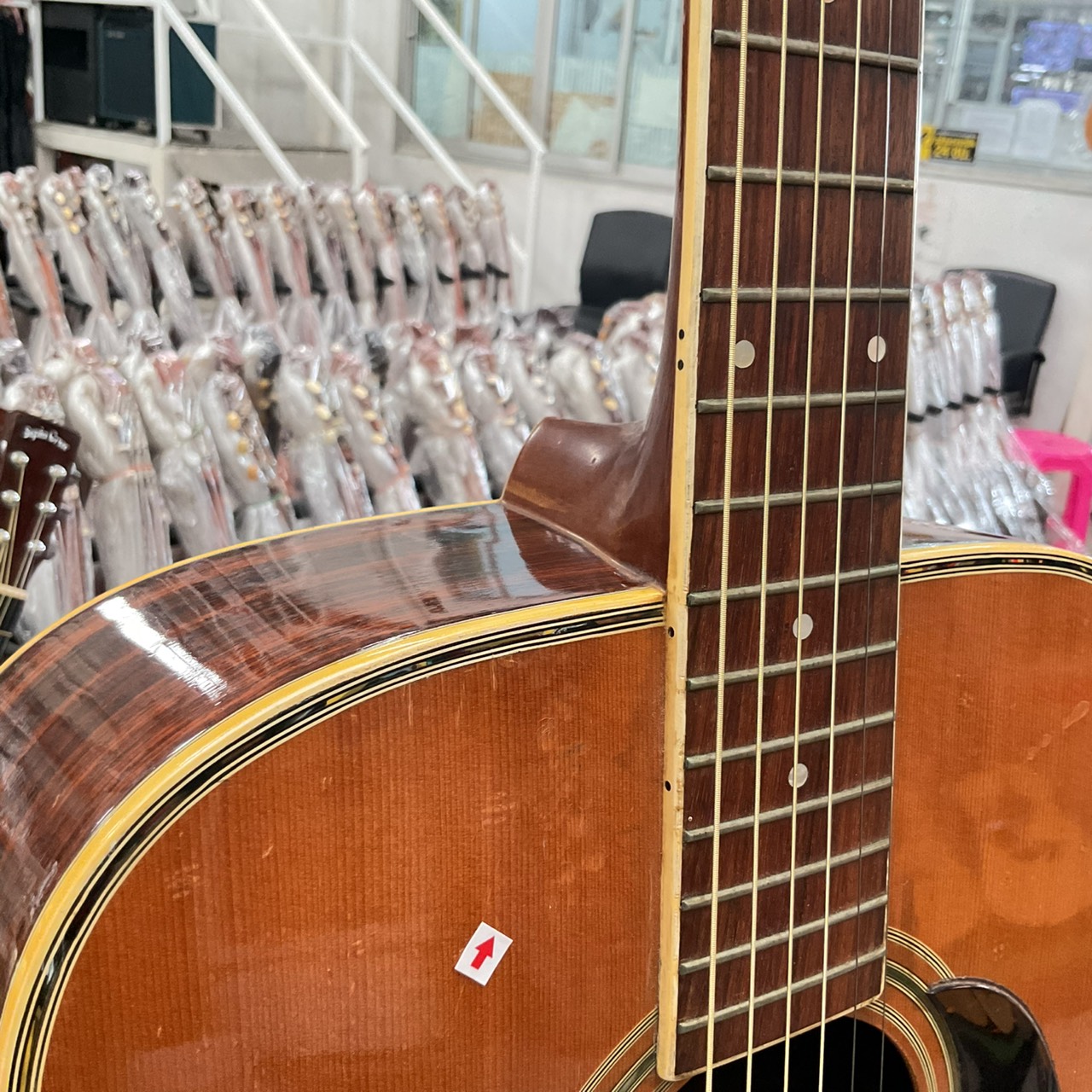 กีต้าร์โปร่ง MORRIS : SPECIAL