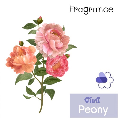 Peony หัวน้ำหอม พีโอนี เรียบหรู อ่อนหวานซ้อนเปรี้ยว Floral Freash Musky