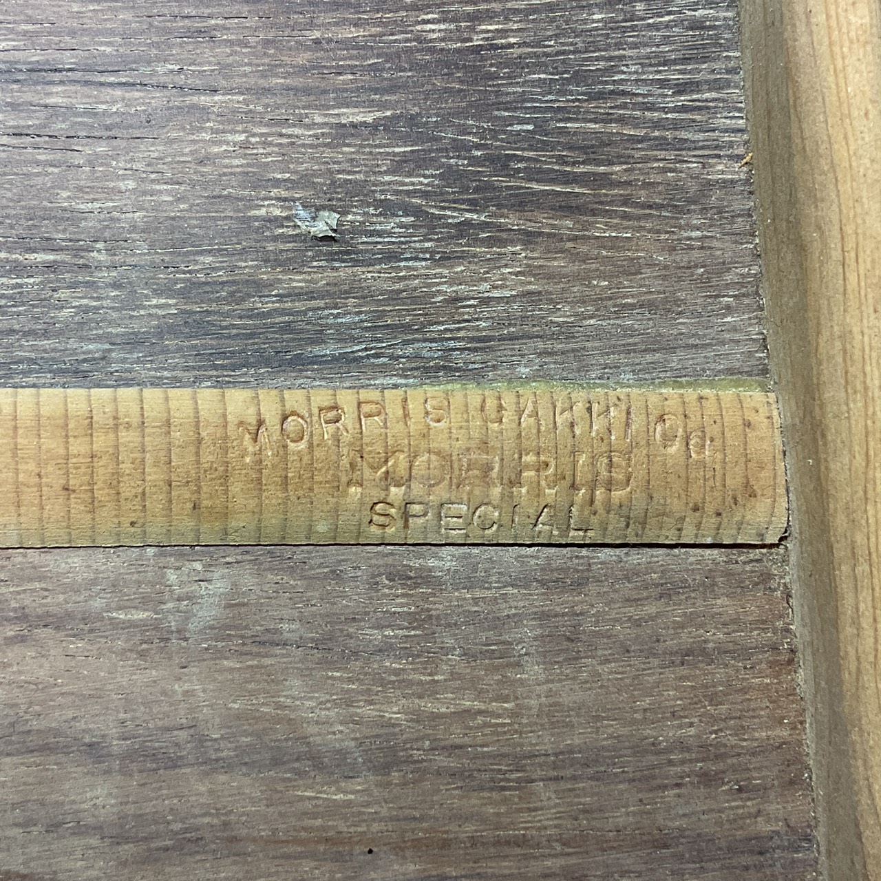 กีต้าร์โปร่ง MORRIS : SPECIAL