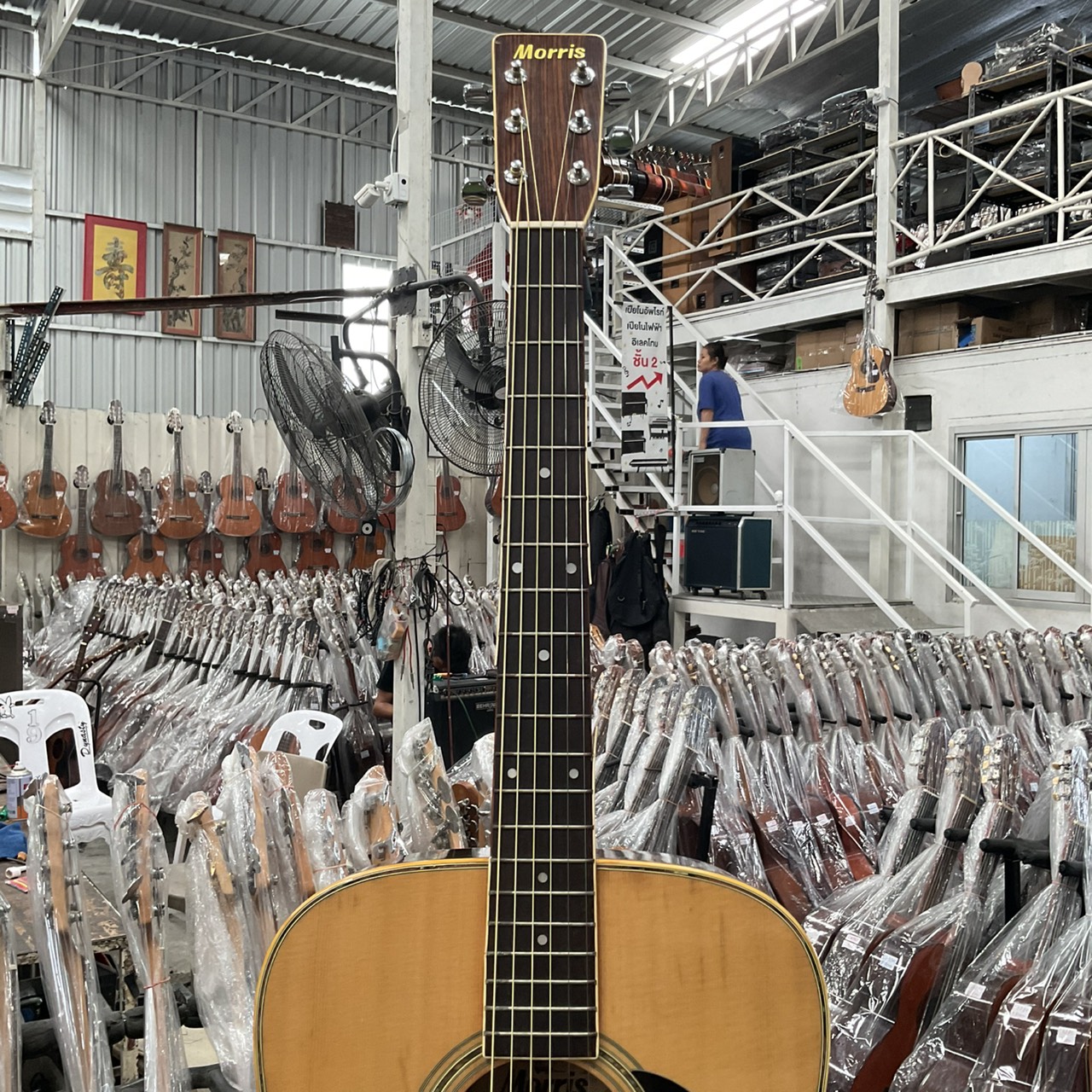 กีต้าร์โปร่ง Morris : W-23