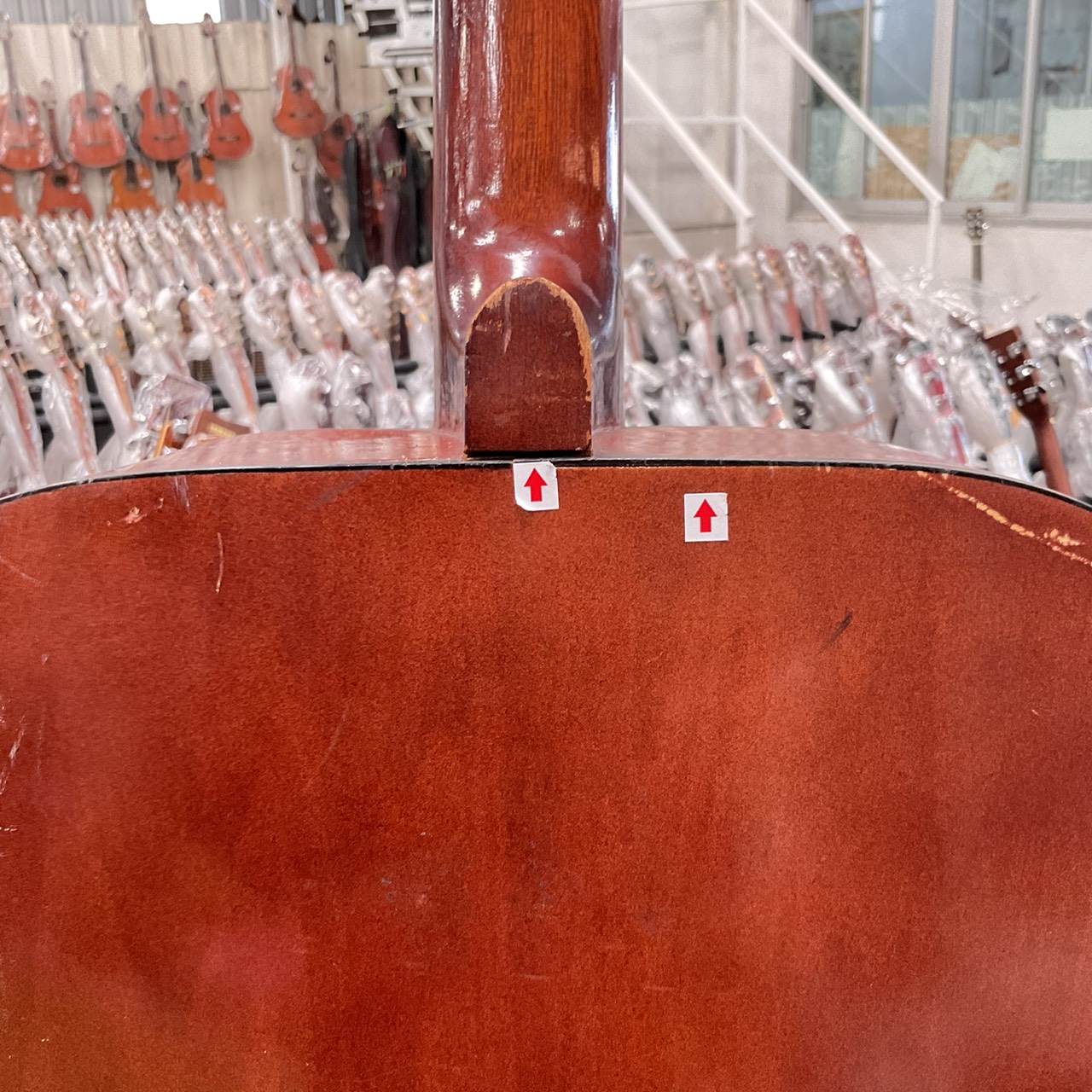 กีต้าร์โปร่ง Muse