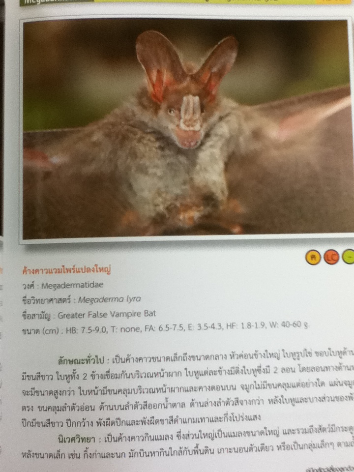 คู่มือสัตว์เลี้ยงลูกด้วยนม ในผืนป่าตะวันตกตอนบน/ ดร.รุ้งนภา พูลจำปา และคณะ