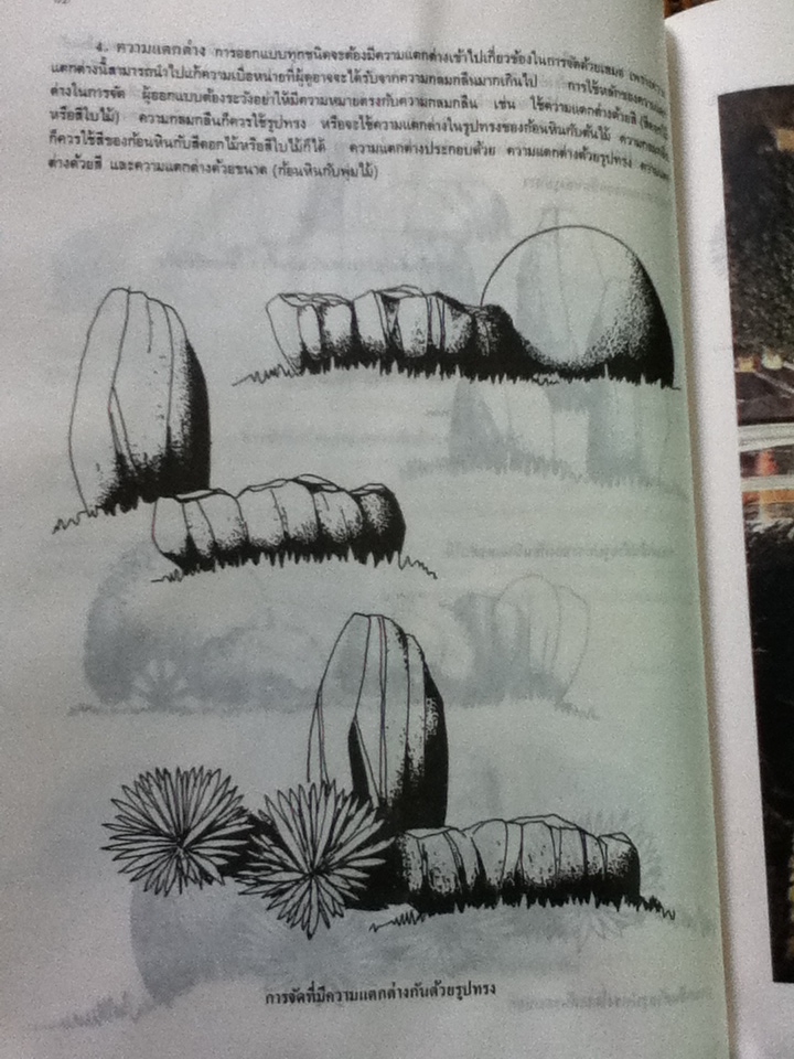 หลักการออกแบบตกแต่งบริเวณ/ จักรผัน อักกพันธานนท์