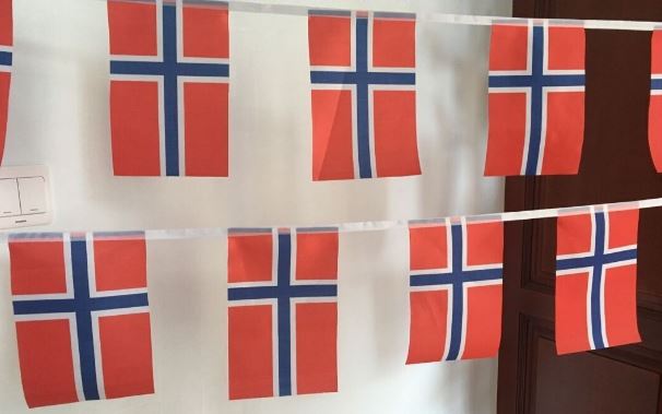 ธงชาตินอร์เวย์ (ธงราวนอร์เวย์) Norwegian Flag String Flag Hanging Flag Small Flag Decoration ธงชาติประเทศนอร์เวย์ ธงราวนอร์เวย์ สำหรับประดับตกแต่งในงาน ตกแต่งสถานที่ ราคาถูก