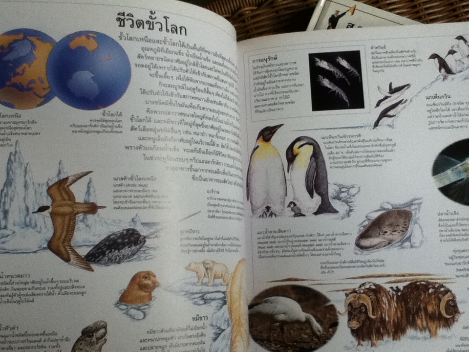 สารานุกรมภาพสำหรับเด็ก 2เล่ม/ชุด พร้อมกล่องบรรจุ