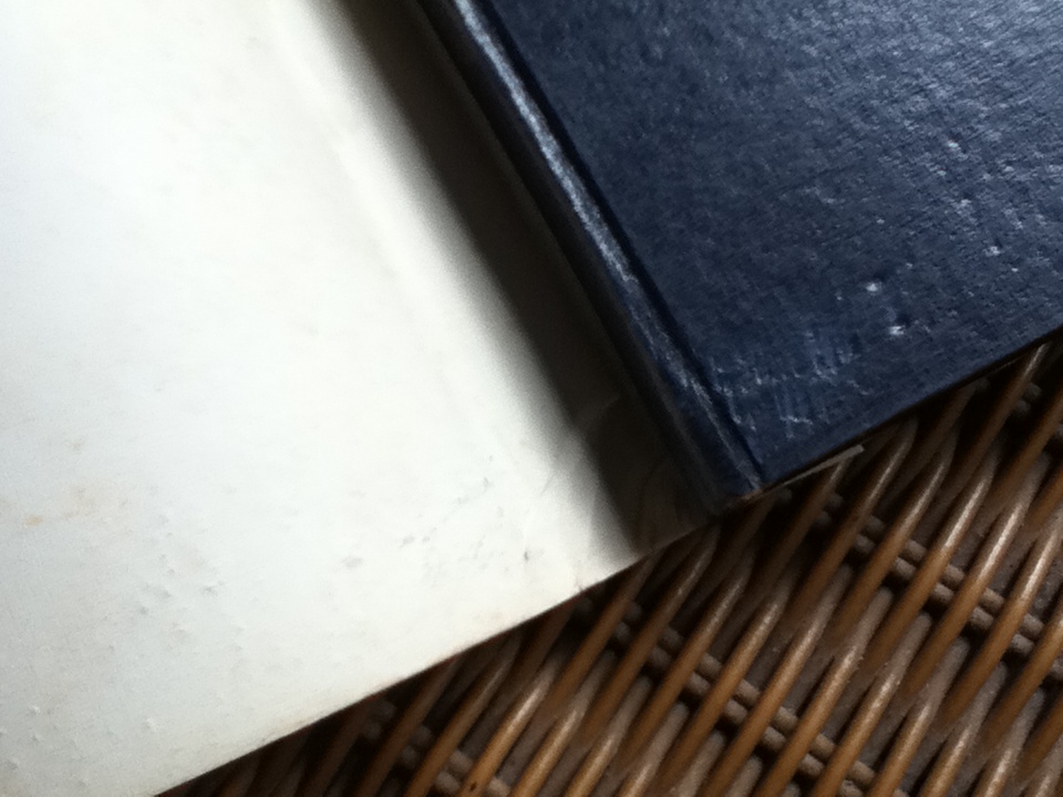 พยัคฆ์คะนองฤทธิ์ (8 เล่ม/จบ) / ชิวมั่งฮุ้น