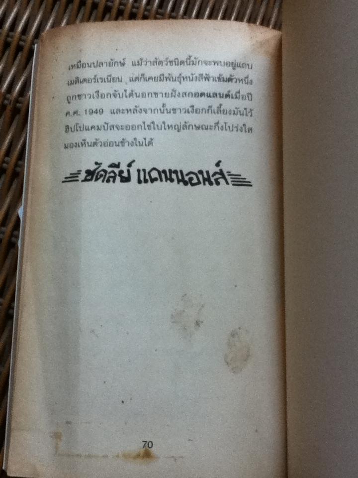 สัตว์มหัศจรรย์และถิ่นที่อยู่/ นิวท์ สคามันเดอร์