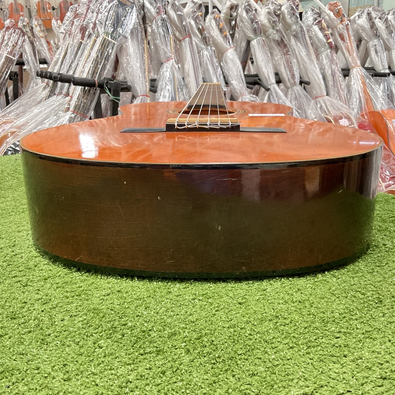 กีต้าร์คลาสสิค YAMAHA : G-50