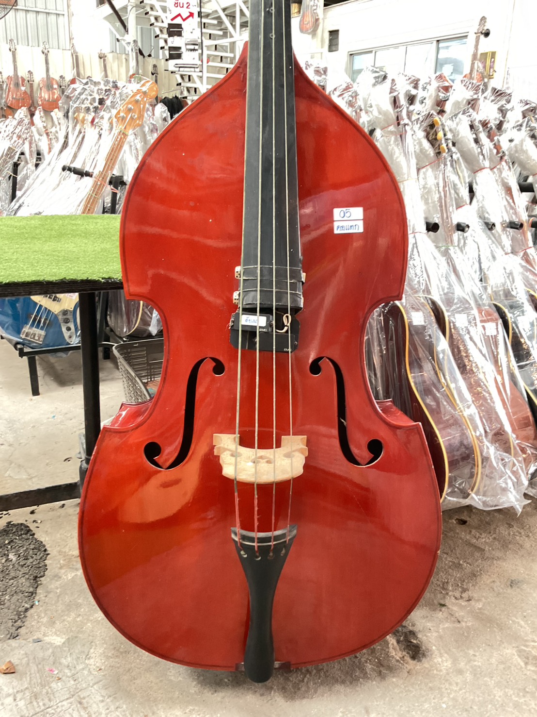 ไวโอลิน Double Bass