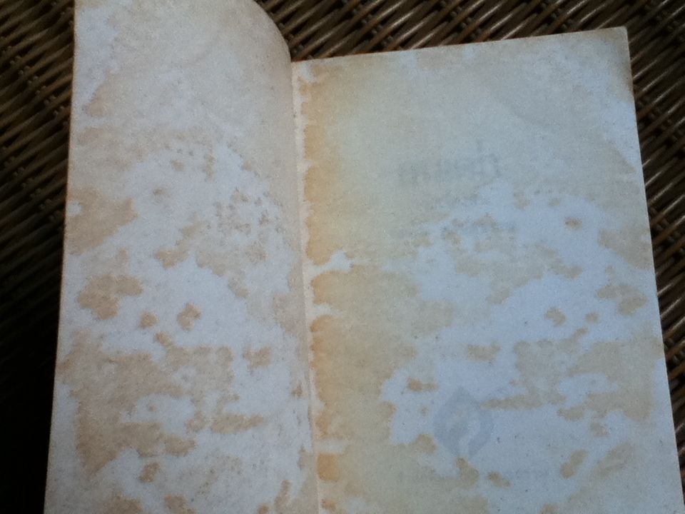 คนเฒ่า/ คมสัน พงษ์สุธรรม