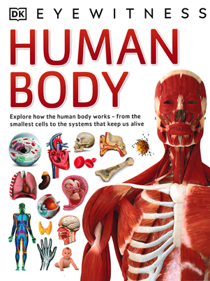 Eyewitness : HUMAN BODY