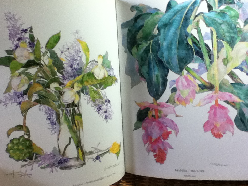 Phansakdi Chakkaphak BEAUTY IN BLOOM