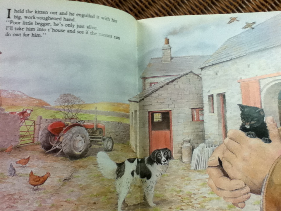 Moses the Kitten/ James Herriot