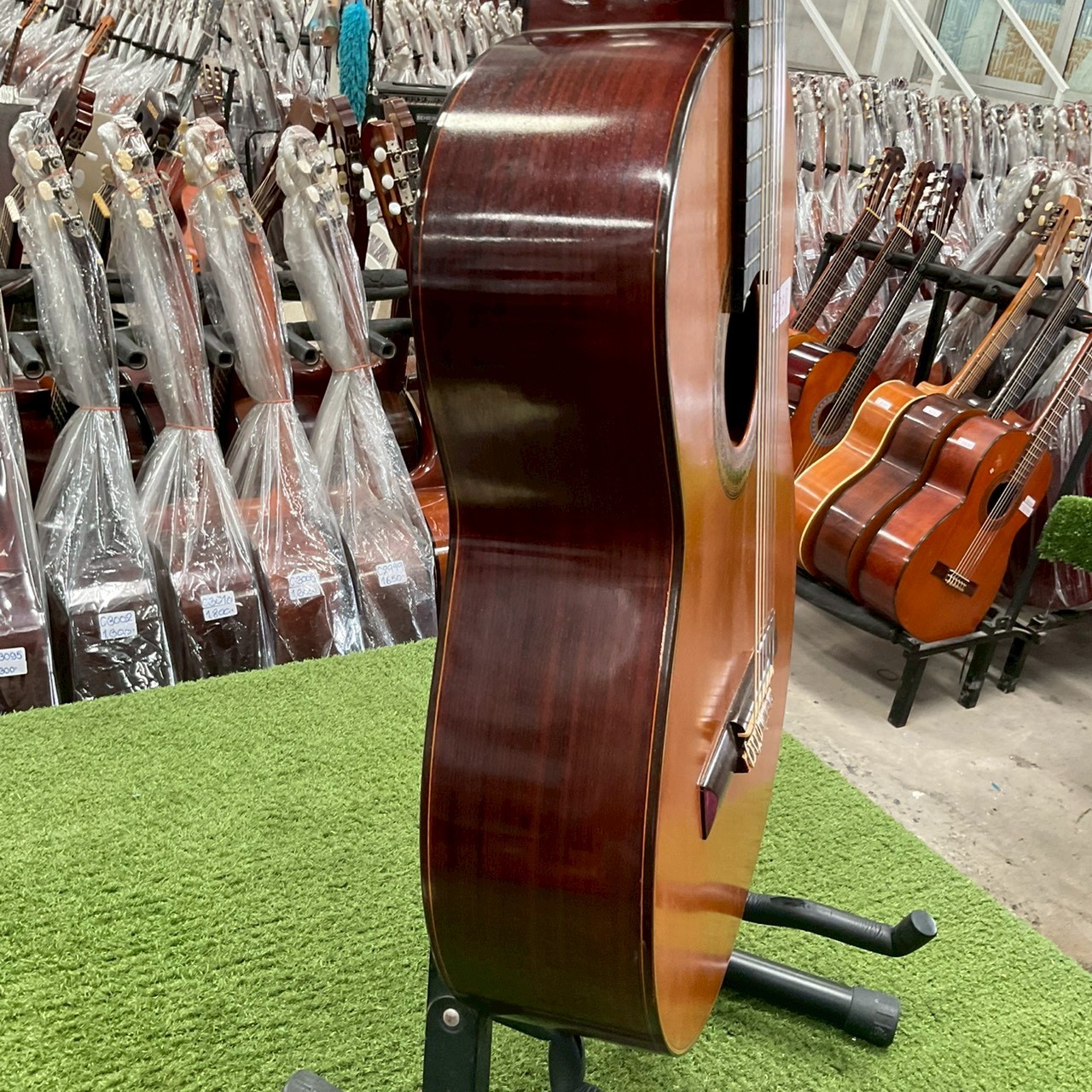 กีต้าร์คลาสสิค Shinano : LG130