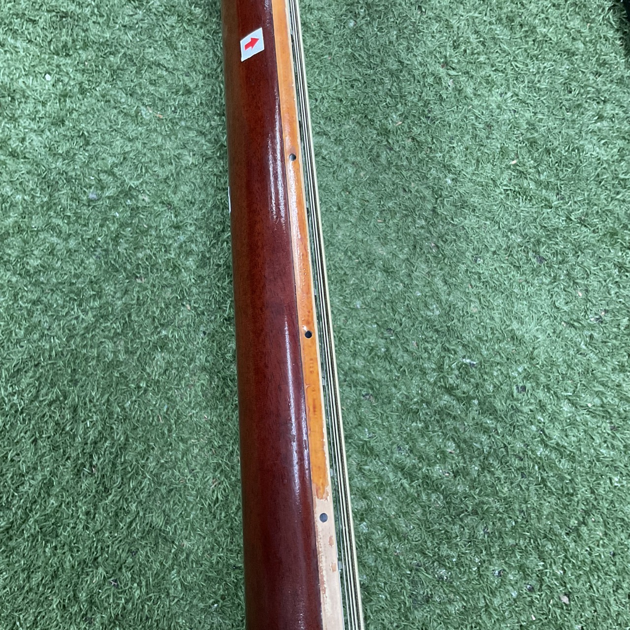 กีต้าร์โปร่ง Morris : W-25