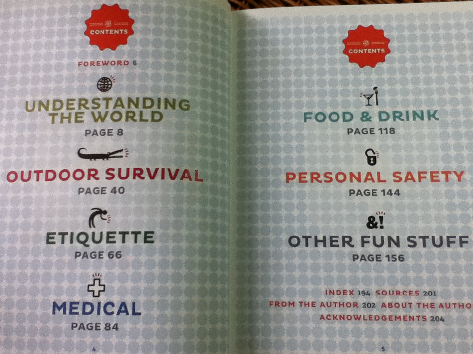 BOOK of EVERYTHING A Visual Guide to Travel and the World/ Nigel Holmes