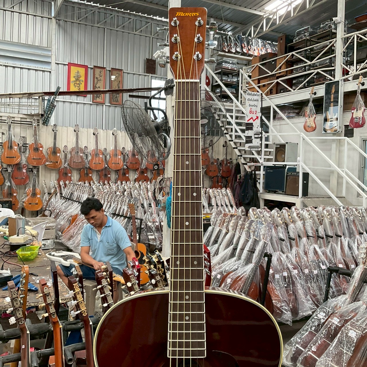 กีต้าร์โปร่ง MORRIS : MF-306TS - ร้านเครื่องดนตรีมือสองญี่ปุ่น