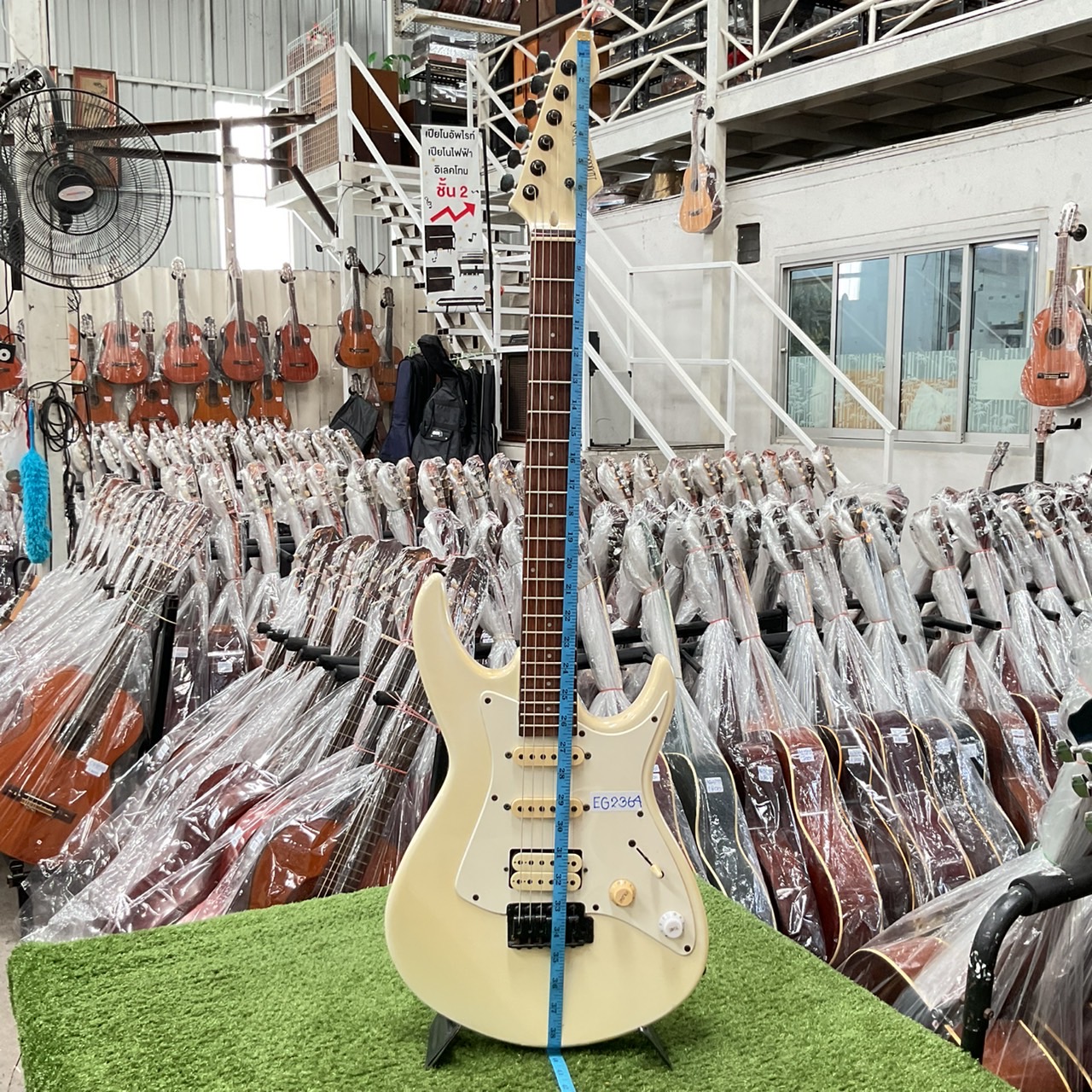 กีต้าร์ไฟฟ้า BLACK DOG : BY ARI PRO II