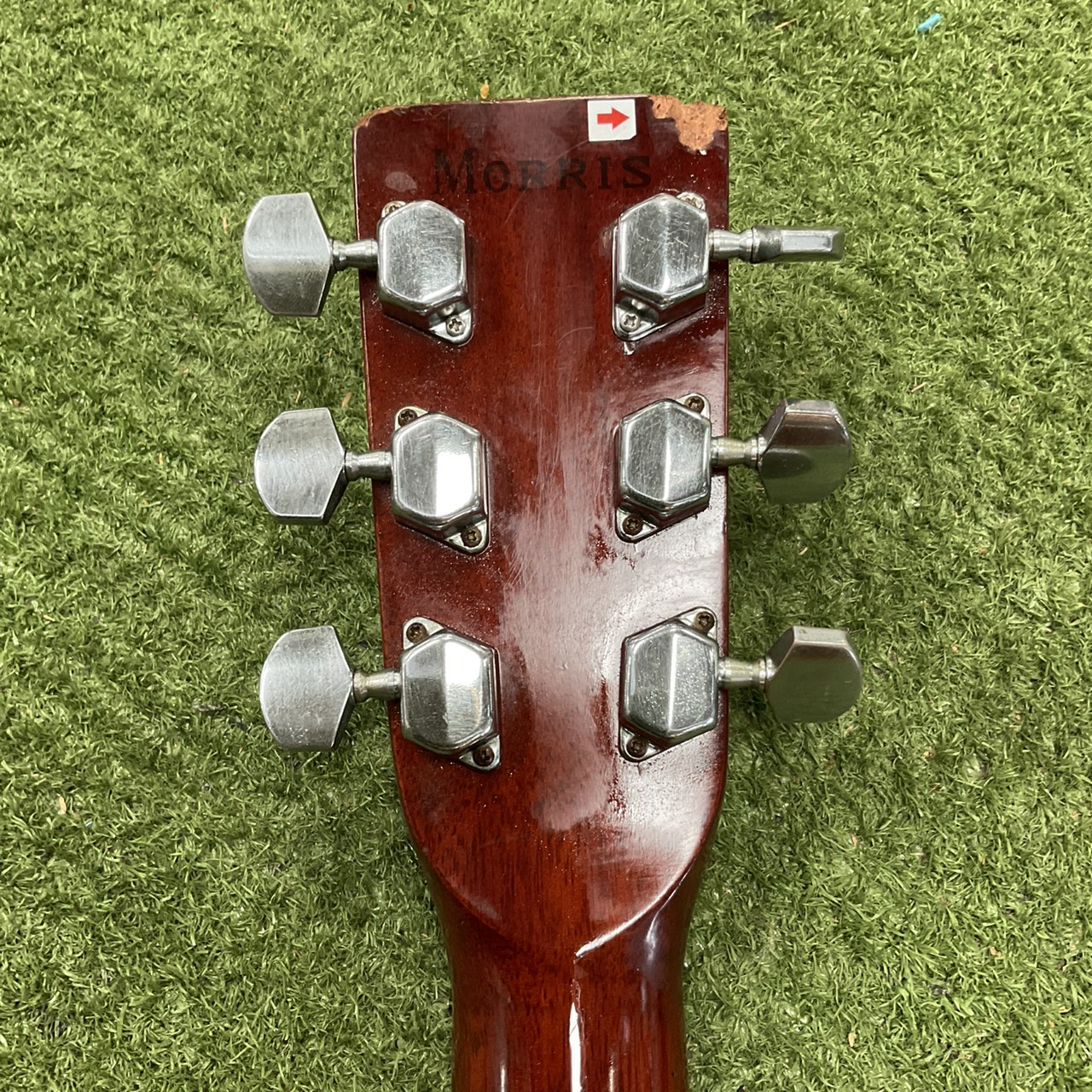 กีต้าร์โปร่ง Morris : W-18