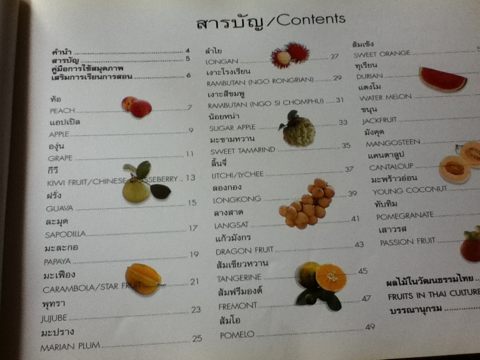 สมุดภาพและข้อมูล เสริมการเรียนการสอน(ไทย/อังกฤษ) ผลไม้ชุดที่1 **ซื้อ4เล่ม 300 บาท งดของแถม**