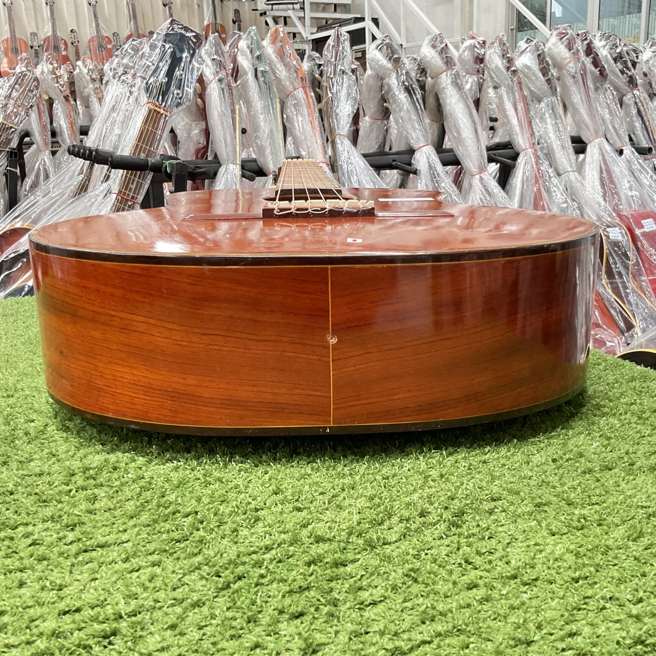 กีต้าร์คลาสสิค Abe Gut : 65A