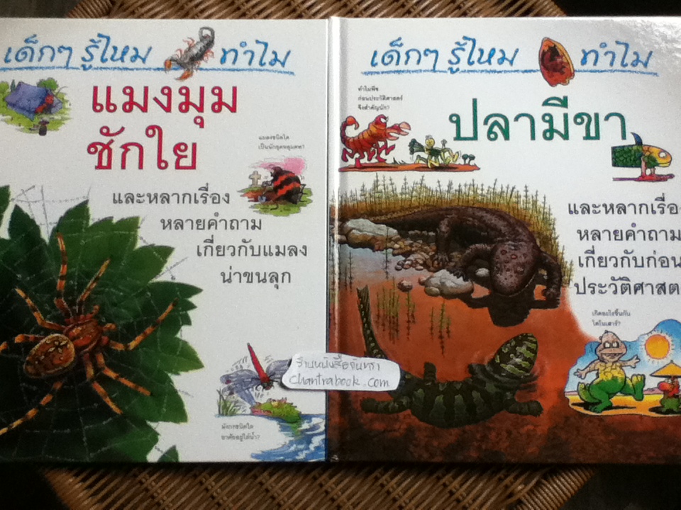 หนังสือชุด เด็กๆ รู้ไหม ทำไม (24เล่ม/ชุด)