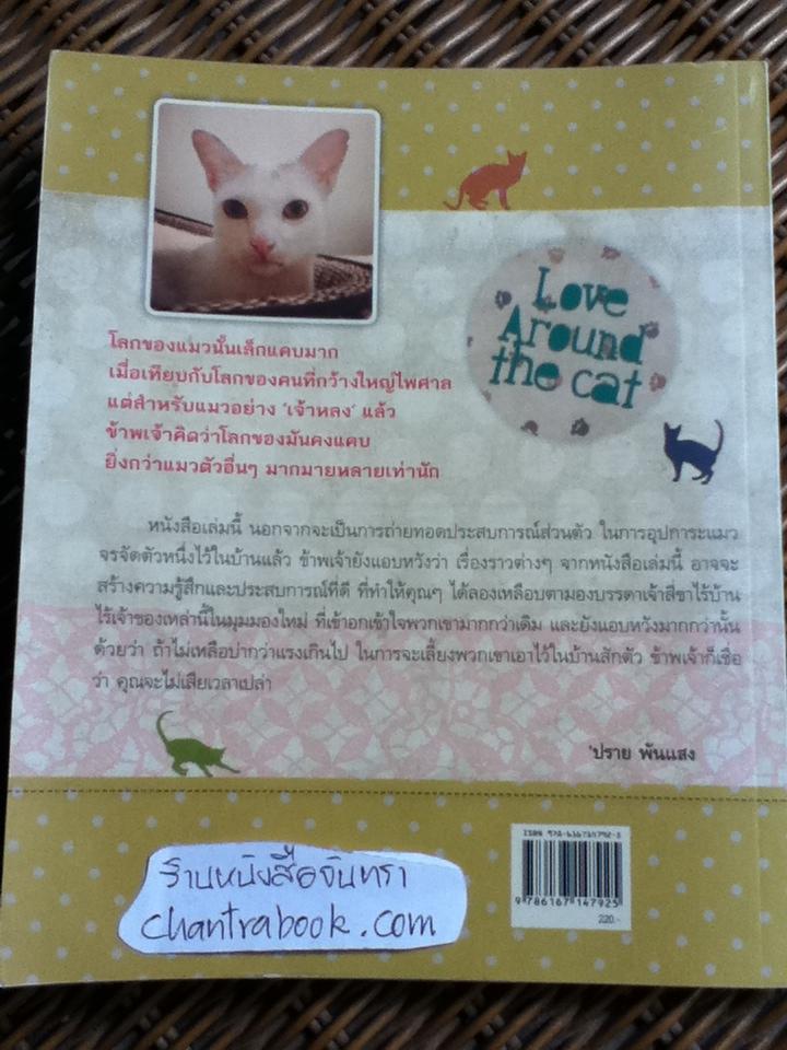 โลกหมุนรอบแมว/ 'ปราย พันแสง