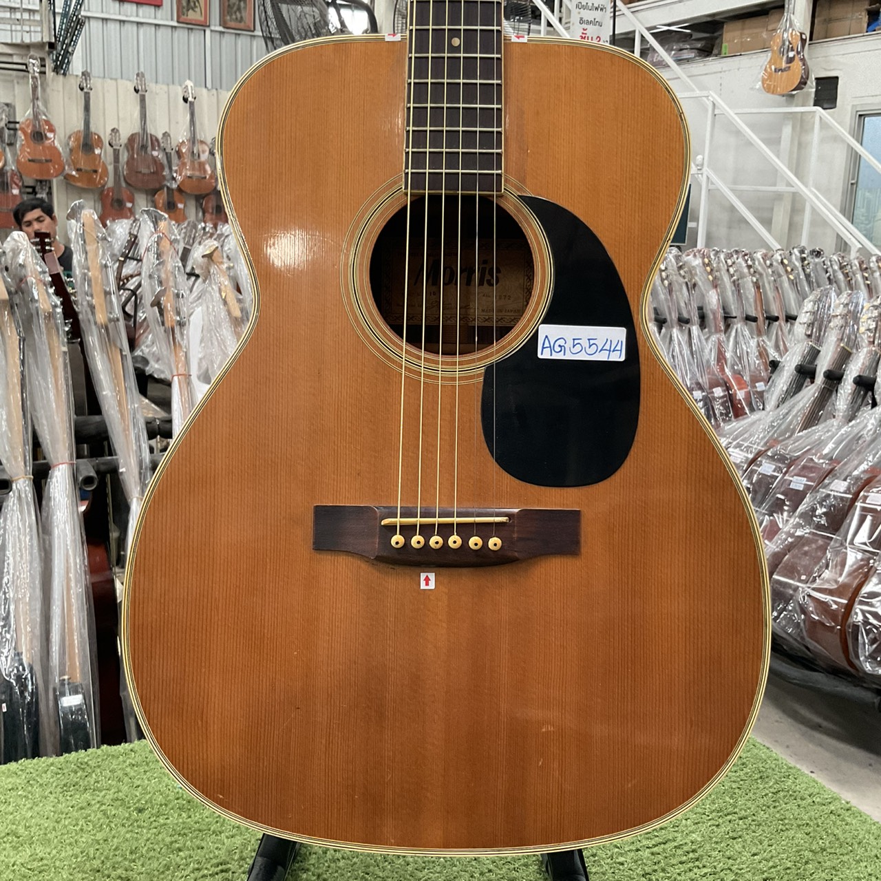 กีต้าร์โปร่ง MORRIS : F15