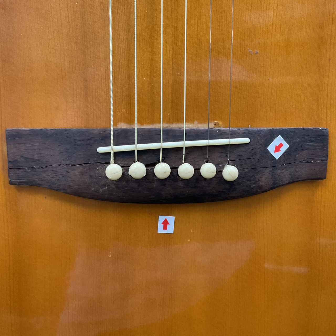 กีต้าร์โปร่ง Master Craft : MC-WM