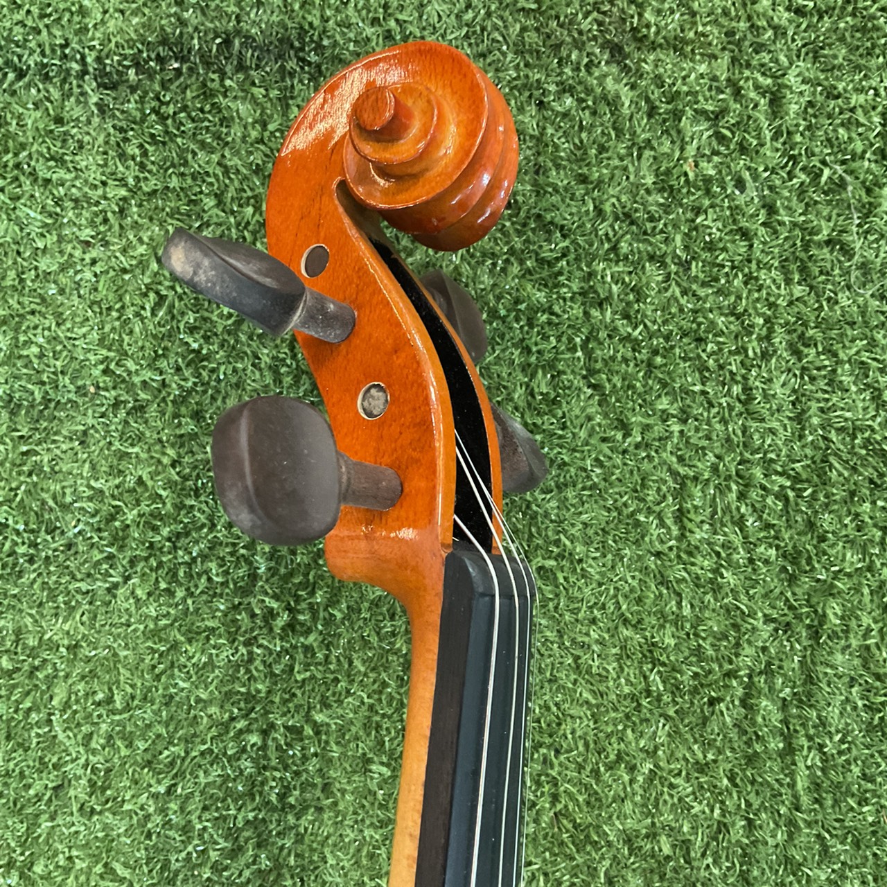 ไวโอลิน Stentor : RO69423