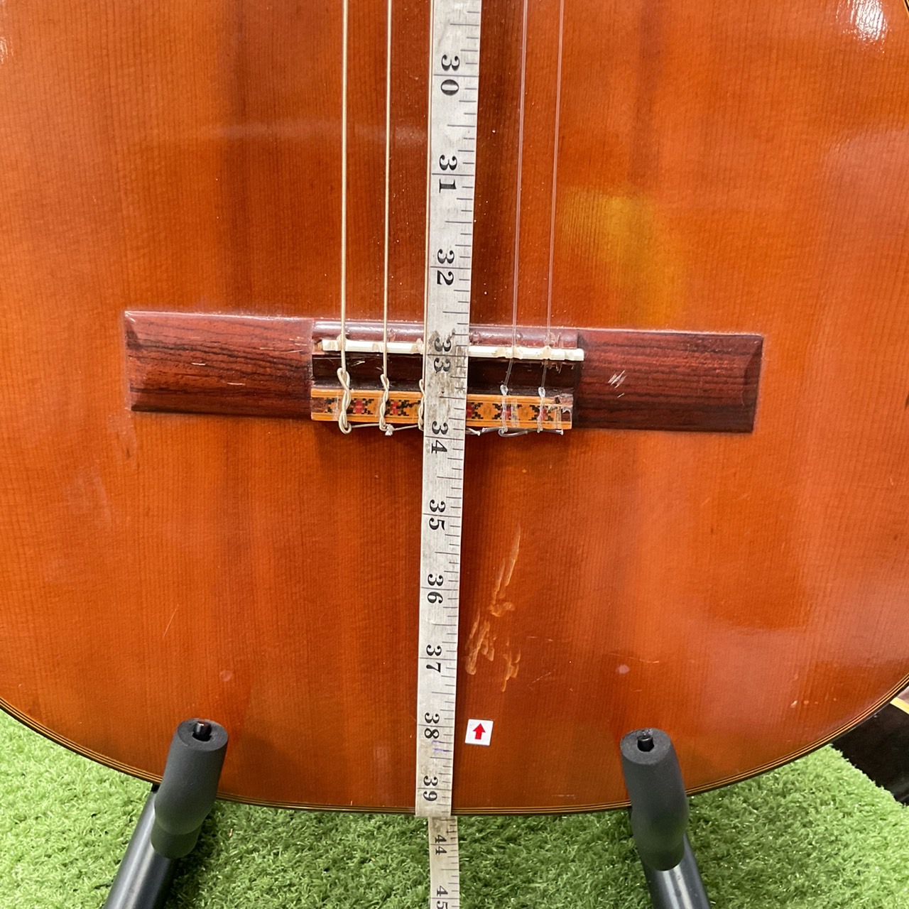 กีต้าร์คลาสสิค Abe Gut : 65A