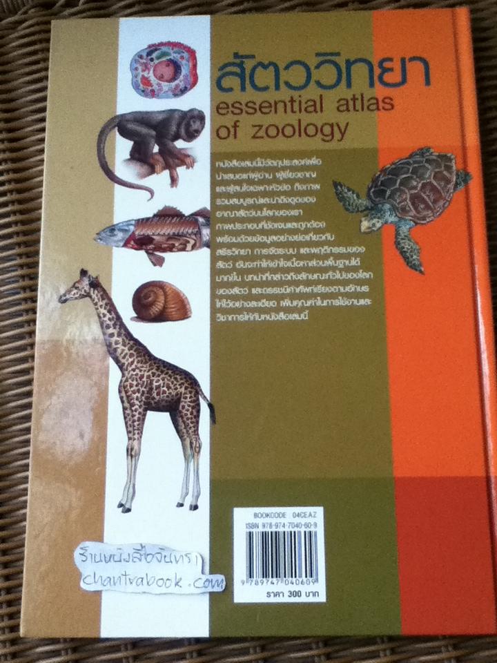 essential atlas of zoology สัตววิทยา