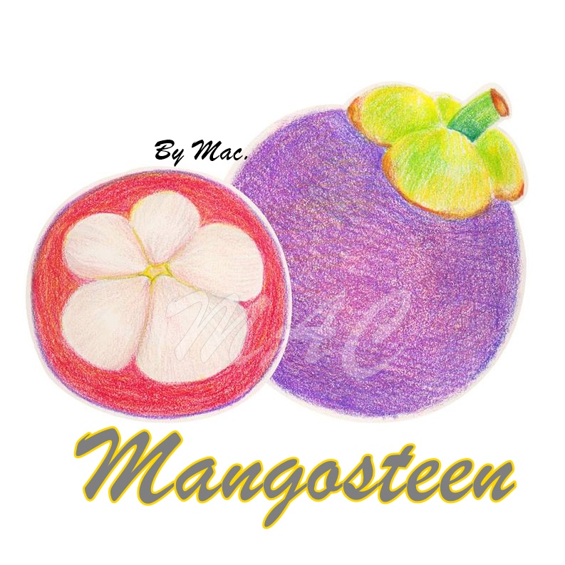 MANGOSTEEN หัวน้ำหอม มังคุด